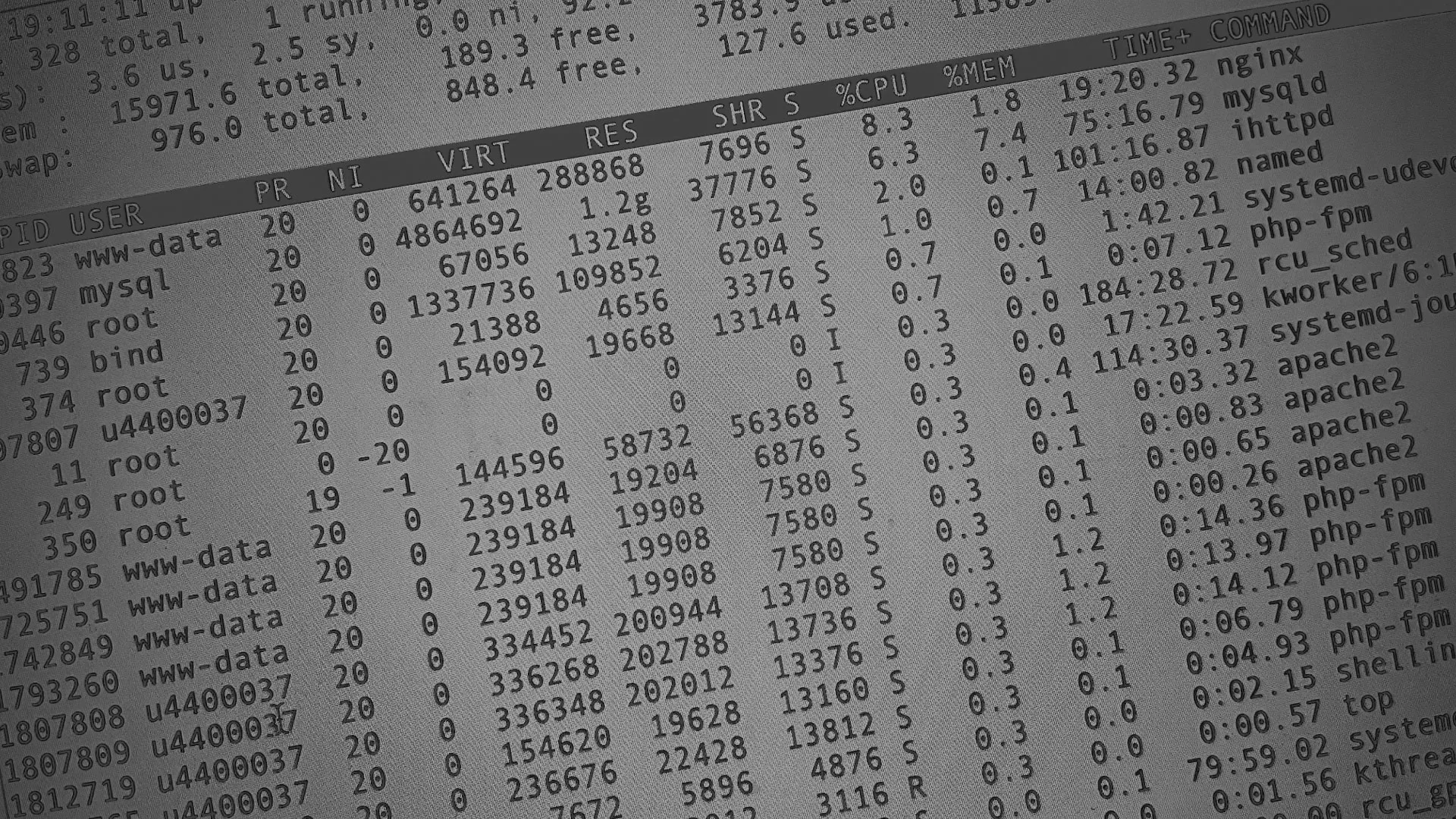 Настройка сервера в Бологом