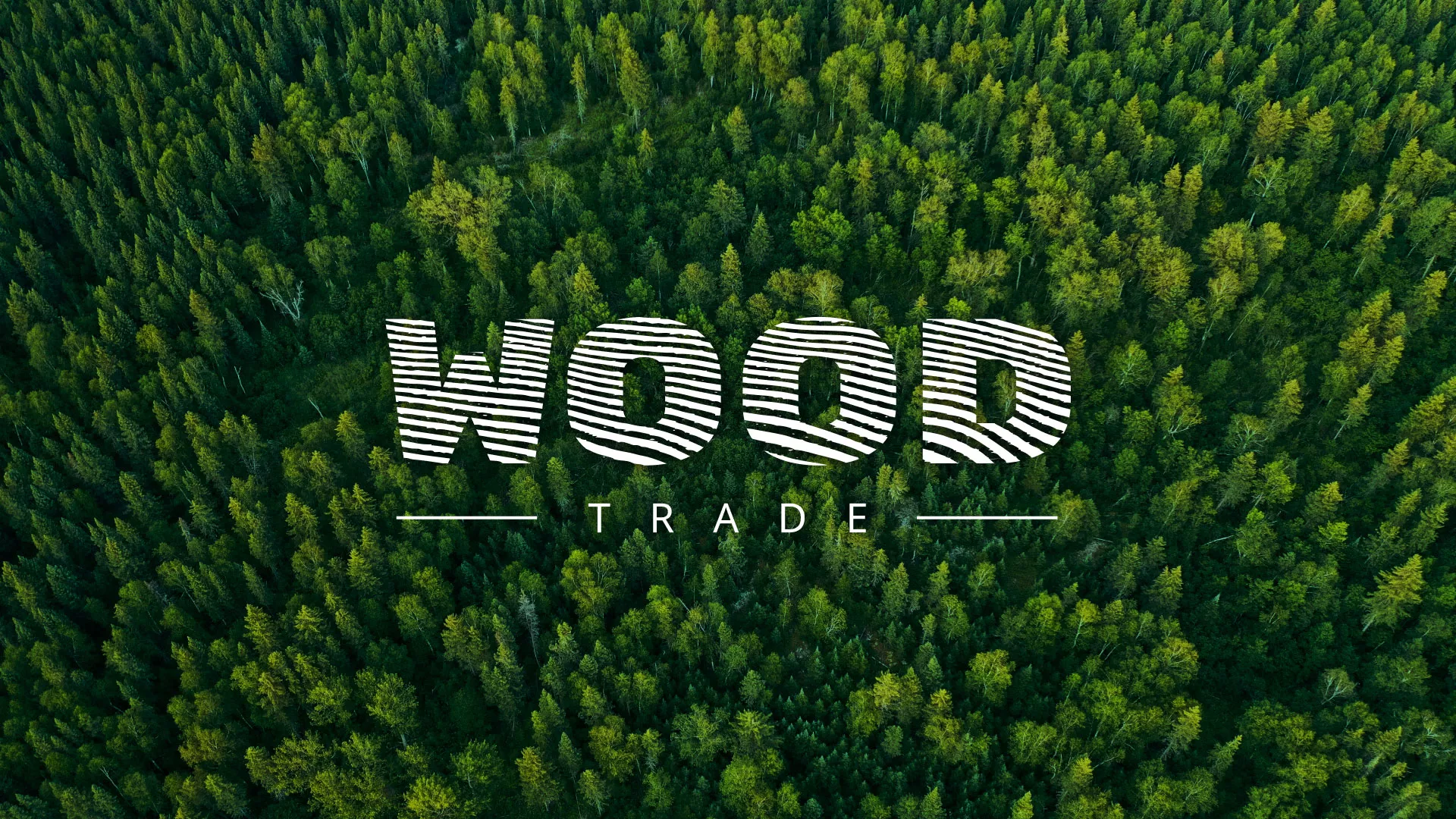 Разработка интернет-магазина компании «Wood Trade» в Бологом