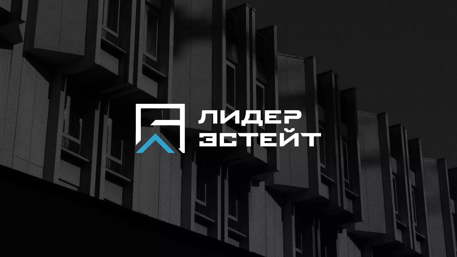 Разработка логотипа агентства недвижимости «Лидер Эстейт» в Бологом